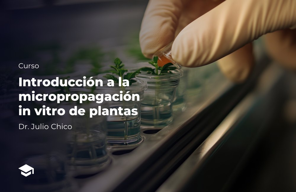 Introducción a la micropropagación in vitro de plantas