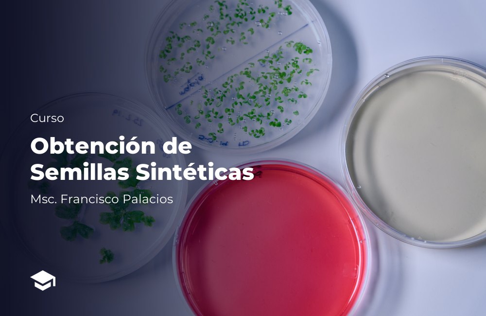 Obtención de Semillas Sintéticas